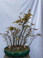 IMG_7669.jpeg
