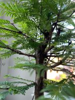 IMG_5189.jpeg
