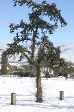 IMG_5445.JPG
