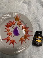 IMG_7036.jpeg