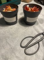 IMG_7043.jpeg