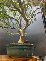 IMG_9036.jpeg
