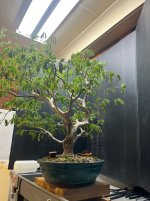 IMG_9038.jpeg
