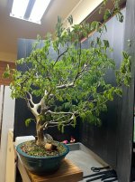 IMG_9042.jpeg