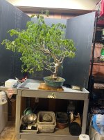 IMG_9034.jpeg