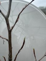 IMG_5674.jpeg