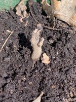 IMG_1810.jpeg