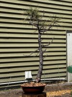 IMG_2269.jpeg