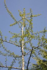 IMG_6570.JPG