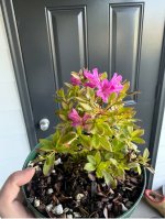 IMG_7063.jpeg