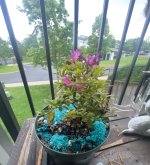 IMG_7087.jpeg