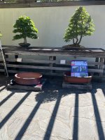 IMG_4988.jpeg