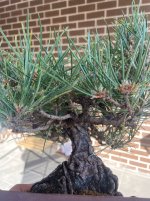 IMG_6281.jpeg