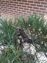 IMG_6282.jpeg