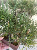 IMG_6283.jpeg