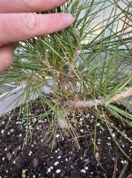 IMG_1469.jpeg