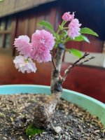 thumbnail_IMG_1894.jpg