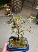 IMG_6023.jpeg