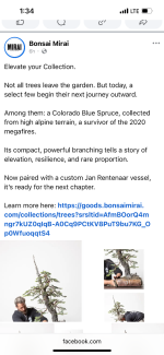 IMG_5017.png