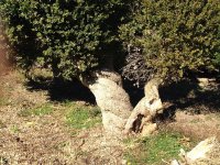 IMG_5022.jpeg