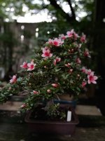 IMG_5026.jpeg