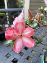 IMG_5849.jpeg