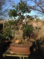 IMG_0177.jpeg