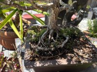 IMG_4094.jpeg