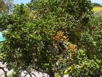 IMG_4090.jpeg