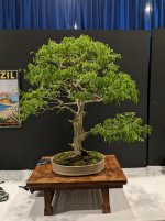PXL_20250523_201726158.jpg