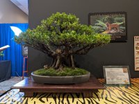 PXL_20250523_201749321.jpg
