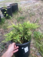 IMG_1833.jpeg