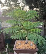 thumbnail_IMG_3147.jpg