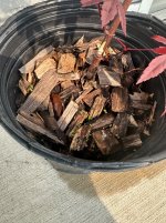 IMG_8099.jpeg