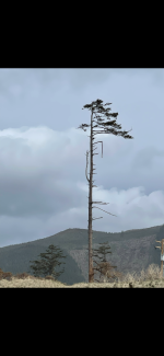 IMG_4023.png