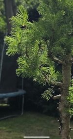 IMG_4978.jpeg