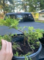 IMG_1838.jpeg