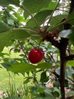 IMG_1042.jpeg