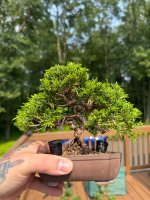 IMG_3057.jpeg