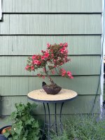 IMG_6031.jpeg