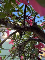 IMG_6030.jpeg