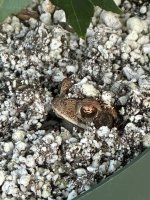 IMG_2082.jpeg