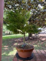 IMG_5960.jpeg