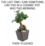 FLUSHED.png