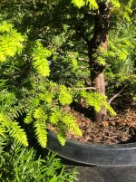 IMG_0203 2.jpeg