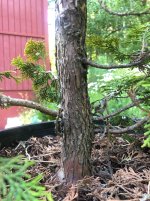 IMG_0228 2.jpeg