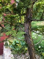 IMG_0229 2.jpeg