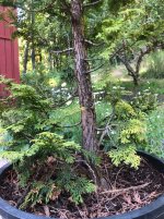 IMG_0230 2.jpeg