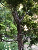 IMG_0233 2.jpeg