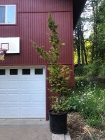 IMG_0234 2.jpeg